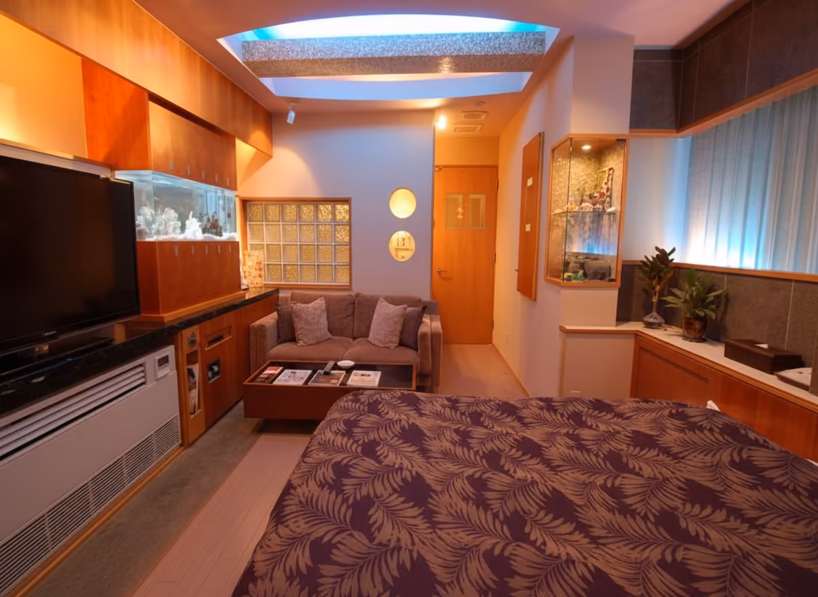 AIR FRANCEの画像26